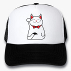 Кепки Trucker