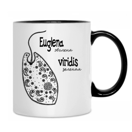 Кружка с принтом Paramecium&Euglena