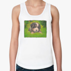  Bern puppy