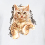 Кот в карандашах